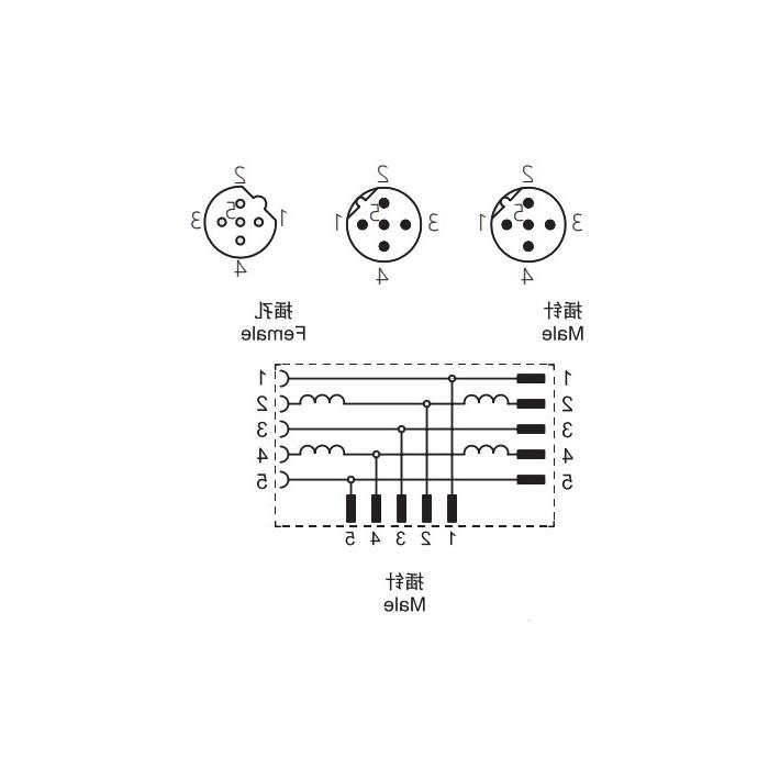 M12 5针母/2M12 5针公，b编码，t型连接器，0C5555